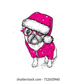 Cute puppy in a New Year hat and scarf. Vector illustration. Pedigree dog. Santa Claus. New Year's and Christmas.