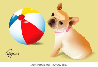 Cute puppy next to a beach ball. French bulldog on yellow background. Vector illustration