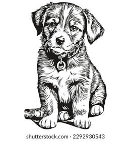 Cute puppy on white background, hand draw illustration puppies
