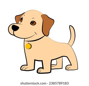 Cute puppy on a white background