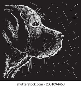 CUTE PUPPY OUT LINE VECTOR DESIGN