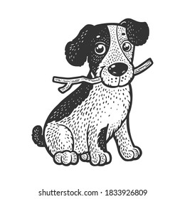 Cute puppy pet with stick sketch engraving vector illustration. T-shirt apparel print design. Scratch board imitation. Black and white hand drawn image.
