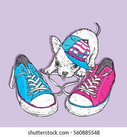 Cute puppy playing with sneakers. Vector illustration for a card or poster. Print on clothes.