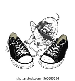 Cute puppy playing with sneakers. Vector illustration for a card or poster. Print on clothes.