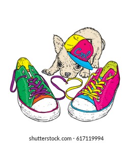 Cute puppy playing with sneakers. Vector illustration for a card or poster. Print on clothes.