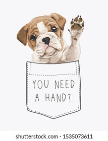 cute puppy in pocket illustration