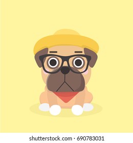Cute puppy pug.