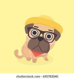 Cute puppy pug.
