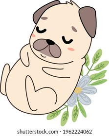 Cute puppy pug isolated vector illustration