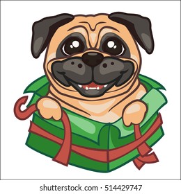 Cute puppy pug stared sitting in a box. Vector illustration of a dog gift