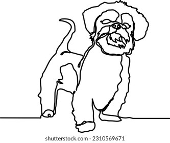 Cute puppy shihtzu 003 line art