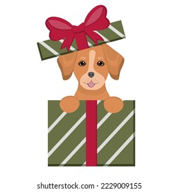 Cute puppy sits in gift boxes. Happy Birthday card. Cute pets for congratulation with birthday, New Year, Christmas. Illustration for dog lovers, veterinary clinics, pet shops.