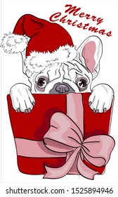 Cute puppy sits in a gift. Merry Christmas - lettering quote.  DOG Card, t-shirt composition, hand drawn style print. Vector illustration