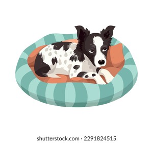 Cute puppy sits in a pillow icon isolated