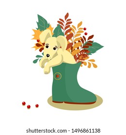 The cute puppy sits in the rubber highboot with colorful leaves. Autumn vector illustration on white background.