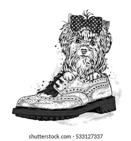 Cute puppy is sitting in the boot. Yorkshire terrier with a bow. Vector illustration.