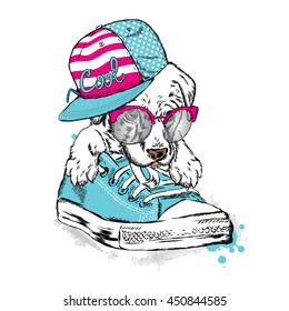 Cute puppy sitting in gym shoes. Vector illustration for greeting card, poster, or print on clothes.