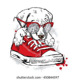 Cute puppy sitting in gym shoes. Vector illustration for greeting card, poster, or print on clothes.