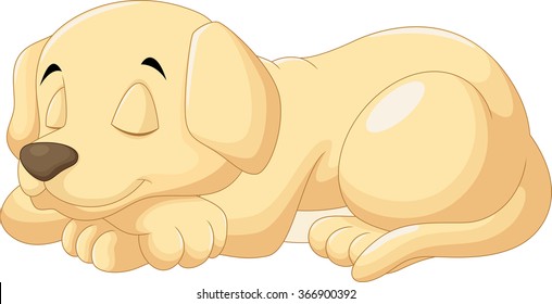 Cute Puppy Sleeping