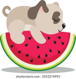 Cute puppy sleeping on watermelon slice

