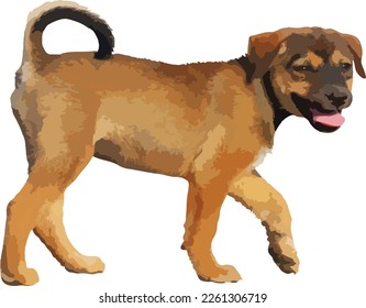 Cute of puppy standing isolated on white background. Vector Illustration