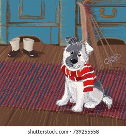 Cute puppy in a striped scarf sits on a rug in anticipation of a winter walk