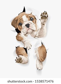 cute puppy through paper hole illustration
