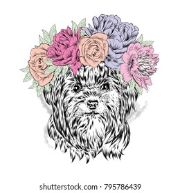 Cute puppy vector . York in the floral wreath .