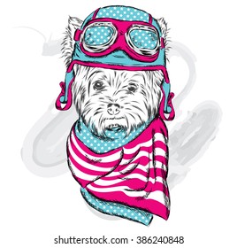 Cute puppy vector. Yorkshire Terrier wearing a helmet. The pilot or driver.