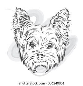 Cute puppy vector. Yorkshire Terrier.