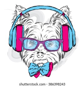 Cute puppy vector. Yorkshire terrier with headphones and sunglasses.