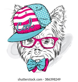 Cute puppy vector. Yorkshire Terrier wearing a cap and sunglasses.