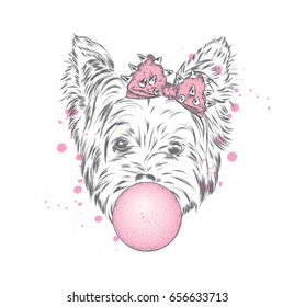 Cute puppy vector. Yorkshire Terrier. Yorkshire Terrier with a bow and inflated chewing gum.