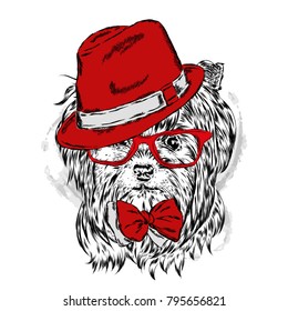 Cute puppy vector. Yorkshire terrier in a hat and sunglasses.