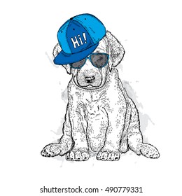 Cute puppy wearing a cap and glasses. Illustration for a card or print on clothes. Poster. Vector drawing