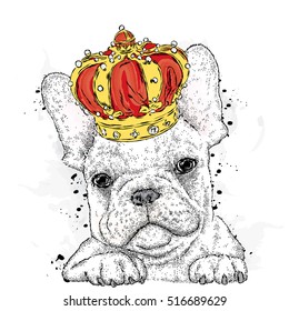 Cute puppy wearing a crown. French Bulldog. Vector illustration.