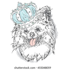 Cute puppy wearing a crown. Vector illustration for greeting card, poster, or print on clothes. Fashion & Style. Vintage. Beautiful dog.