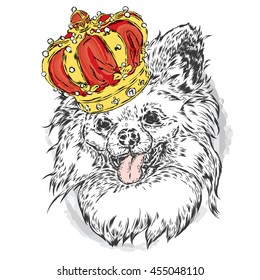 Cute puppy wearing a crown. Vector illustration for greeting card, poster, or print on clothes. Fashion & Style. Vintage. Beautiful dog.