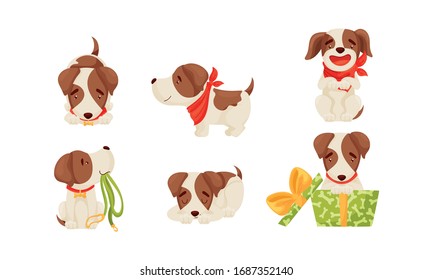 Cute Puppy Wearing Dog Collar Sleeping and Holding Leash Vector Set