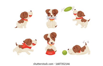 Cute Puppy Wearing Dog Collar Playing with Ball and Running Vector Set