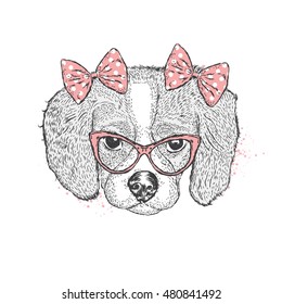 Cute puppy wearing glasses and a bow. Vector illustration for postcards or posters. Charming dog.