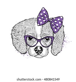 Cute puppy wearing glasses and a bow. Vector illustration for postcards or posters. Charming dog.