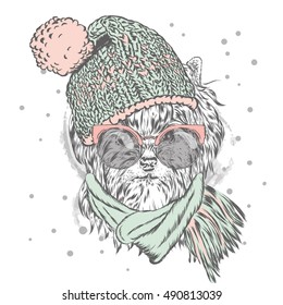  Cute puppy wearing a hat and sunglasses. Vector illustration for greeting card, poster, or print on clothes. Pedigree dog. Yorkshire Terrier. Winter, Christmas and New Year.