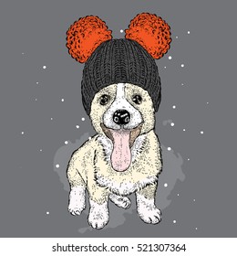 Cute puppy wearing a hat and sunglasses. Illustration for a card or poster. Vector illustration. Dog.