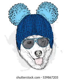 Cute puppy wearing a hat and sunglasses. Illustration for a card or poster. Vector illustration. Dog.