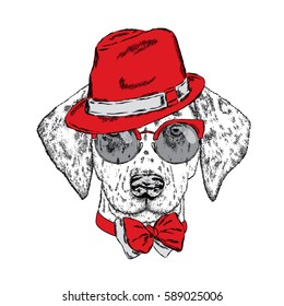 Cute puppy wearing a hat, sunglasses and a tie. Vector illustration. Beautiful dog. Dalmatians.