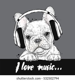 Cute puppy wearing headphones. Vector illustration for a card or poster. Print on clothes. French Bulldog. Pedigree dog.