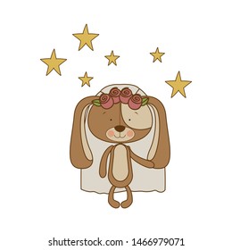 cute puppy with wedding dress