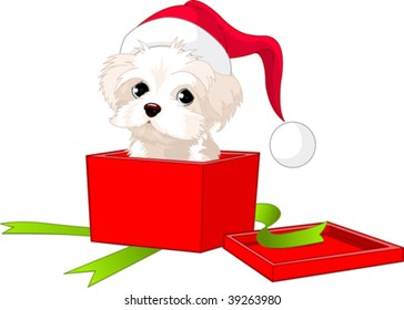 A cute puppy wrapped up in a box like a Christmas gift.