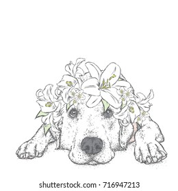 A cute puppy in a wreath of lilies. Vector illustration. Pedigree dog. Labrador. Flower wreath.